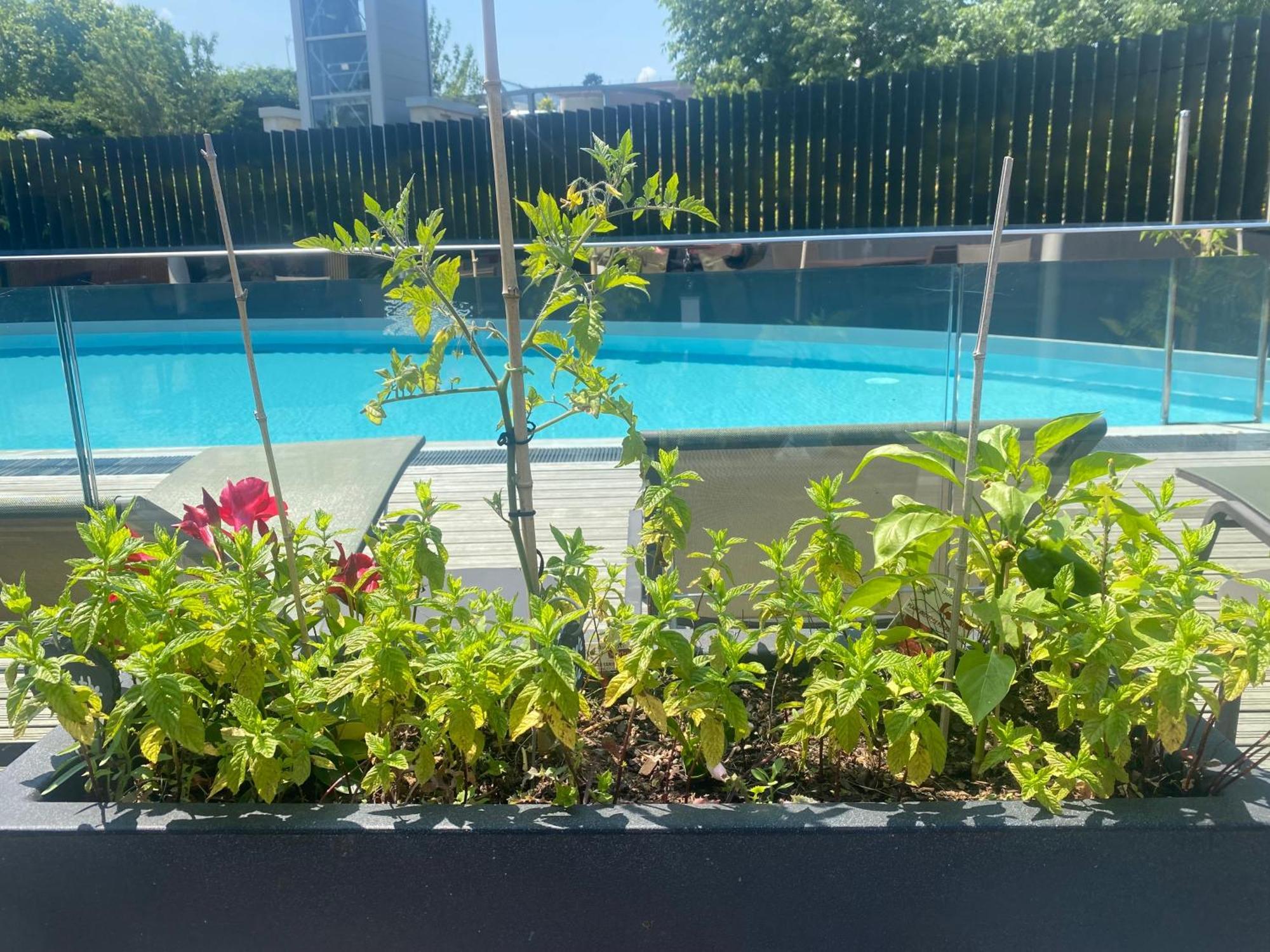 Radisson Blu Hotel, Montpellier Kültér fotó